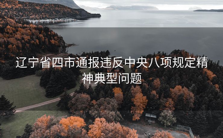 辽宁省四市通报违反中央八项规定精神典型问题
