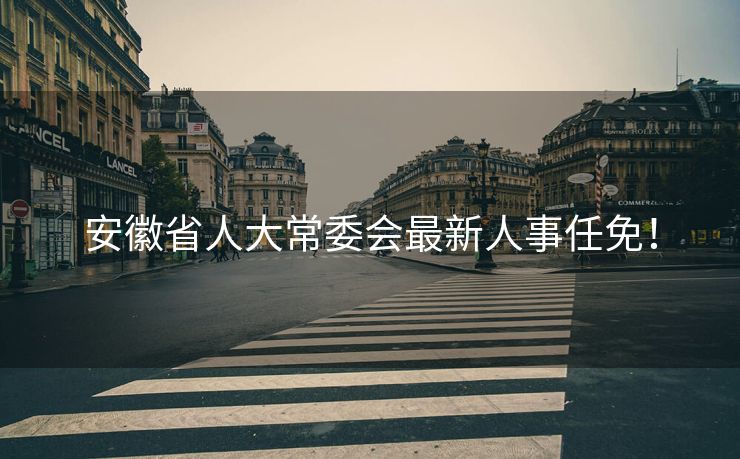 安徽省人大常委会最新人事任免！