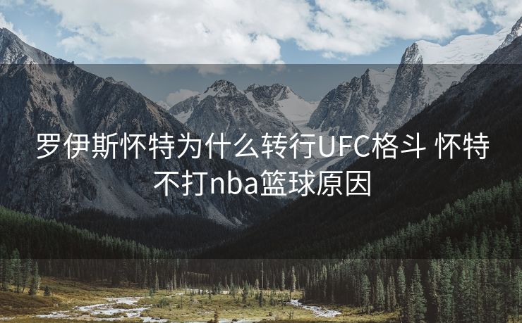 罗伊斯怀特为什么转行UFC格斗 怀特不打nba篮球原因