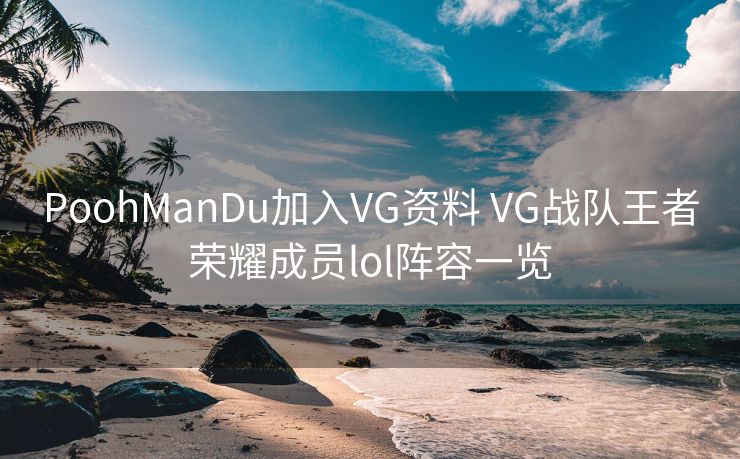PoohManDu加入VG资料 VG战队王者荣耀成员lol阵容一览