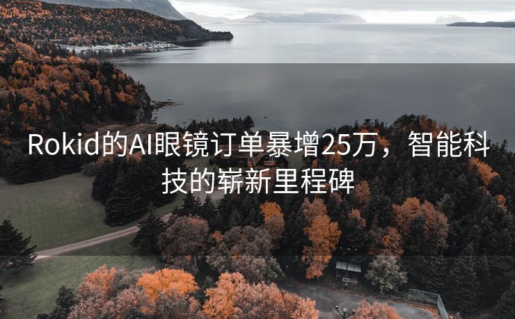 Rokid的AI眼镜订单暴增25万，智能科技的崭新里程碑