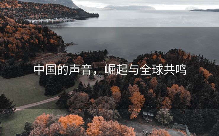中国的声音，崛起与全球共鸣