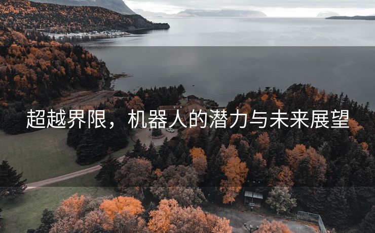 超越界限，机器人的潜力与未来展望