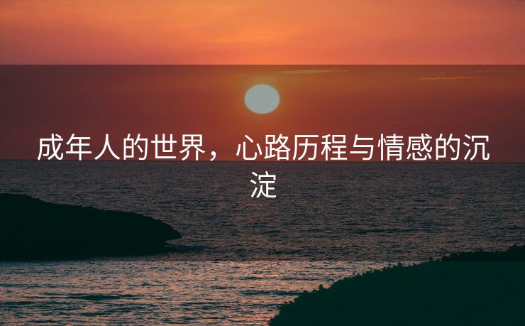 成年人的世界，心路历程与情感的沉淀