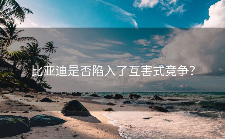 比亚迪是否陷入了互害式竞争？