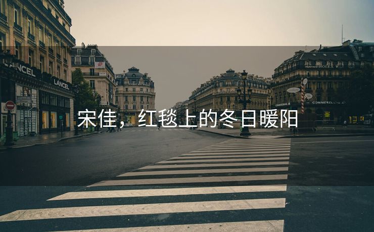 宋佳，红毯上的冬日暖阳