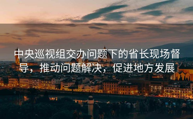 中央巡视组交办问题下的省长现场督导，推动问题解决，促进地方发展
