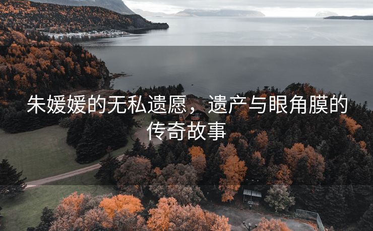 朱媛媛的无私遗愿，遗产与眼角膜的传奇故事