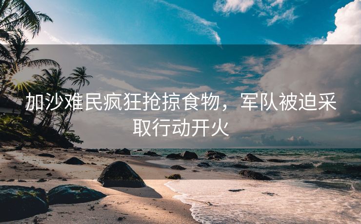 加沙难民疯狂抢掠食物，军队被迫采取行动开火