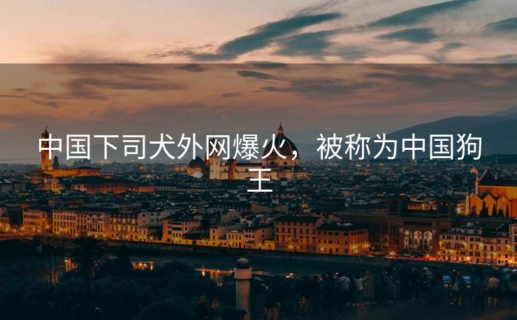中国下司犬外网爆火，被称为中国狗王