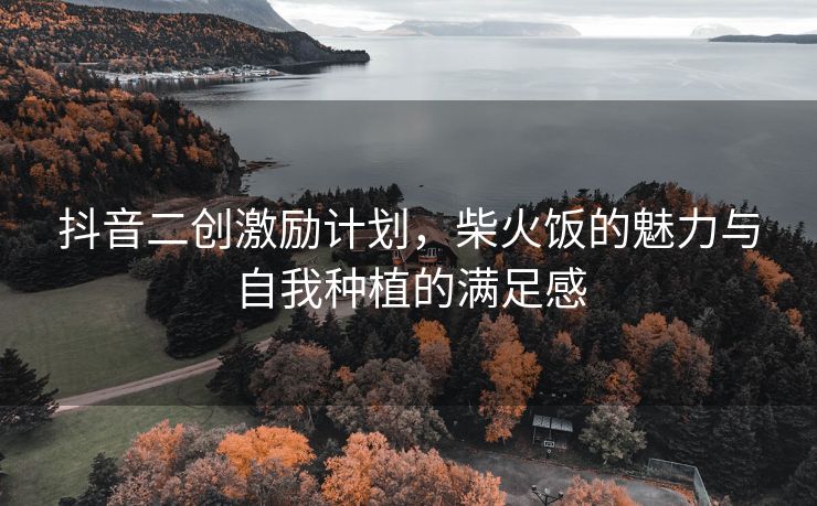 抖音二创激励计划，柴火饭的魅力与自我种植的满足感