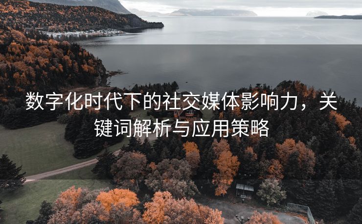 数字化时代下的社交媒体影响力，关键词解析与应用策略