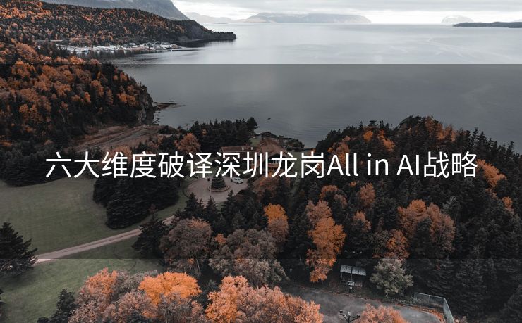 六大维度破译深圳龙岗All in AI战略