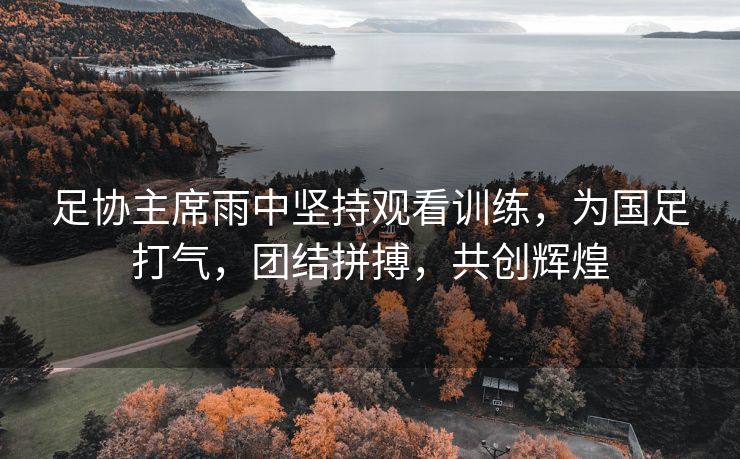 足协主席雨中坚持观看训练，为国足打气，团结拼搏，共创辉煌
