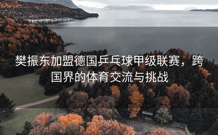 樊振东加盟德国乒乓球甲级联赛，跨国界的体育交流与挑战