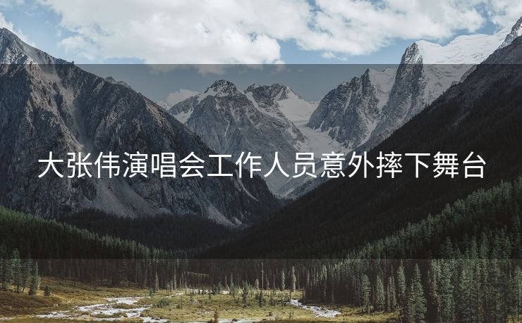 大张伟演唱会工作人员意外摔下舞台