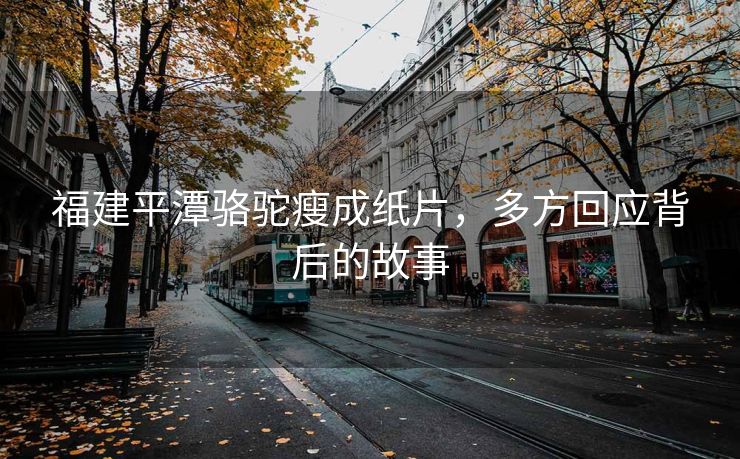 福建平潭骆驼瘦成纸片，多方回应背后的故事