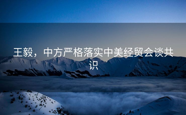 王毅，中方严格落实中美经贸会谈共识