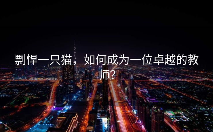 剽悍一只猫，如何成为一位卓越的教师？